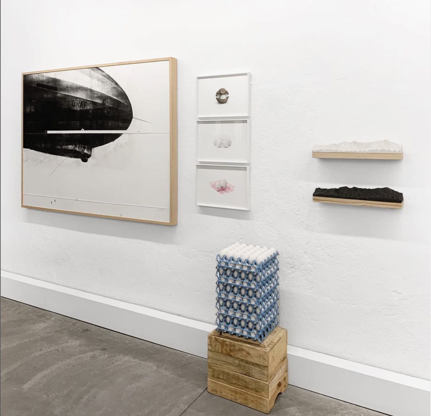 La Plataforma | The Project